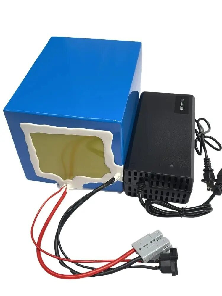 Baterai Lithium Ion Kapasitas  - 72V 30Ah Lifepo4 Battery Pack ulasan dan harga