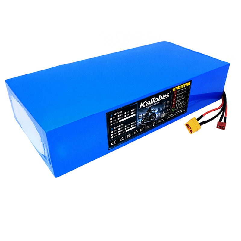 Paket baterai Lithium 21700 60 - 60V 30Ah 21700 Battery Pack ulasan dan harga